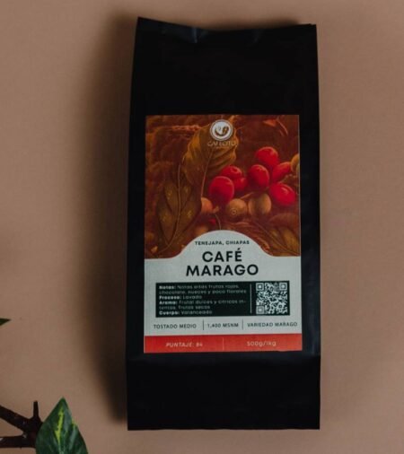 Café marago variedad Maragogipe 1 kilo o 500g